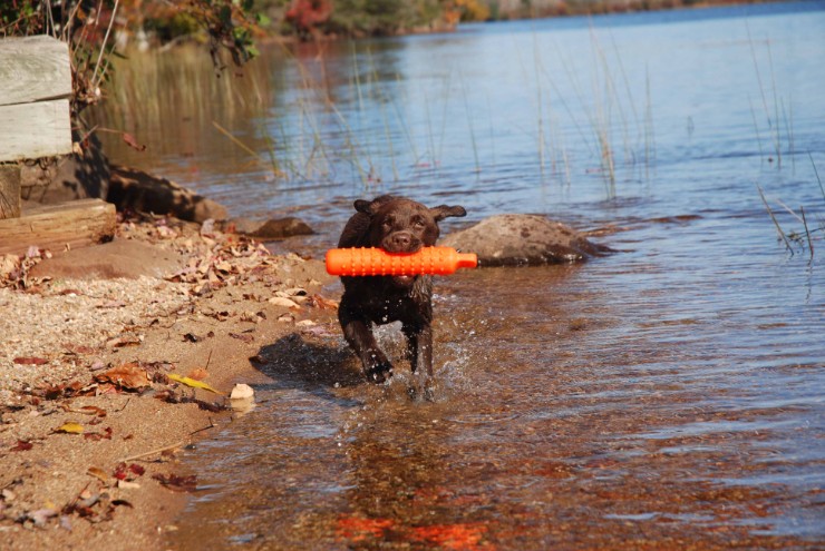 Tucker_2007 10 18 019.jpg